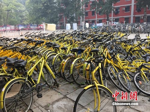 共享单车火热背后：人为破坏等五大问题考验未来生计